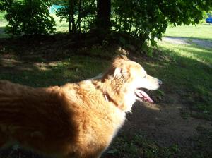 473657_3820807473281_1895783264_o