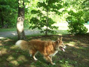 616795_3820805193224_1322563523_o